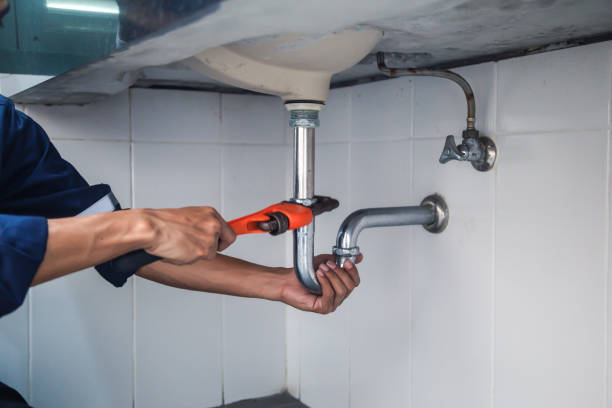 Best Local Plumber Services  in Woodville, FL